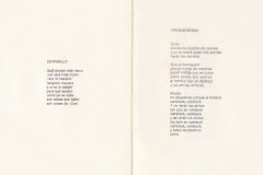 1980.-Los-Simios-Pag-2-