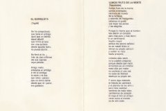 1980.-Los-Simios-Pag-8-