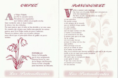 2004.-Los-Pretendientes-Pag-7-8
