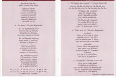 2008.-Pluma-tintero-y-papel-Pag-31-32